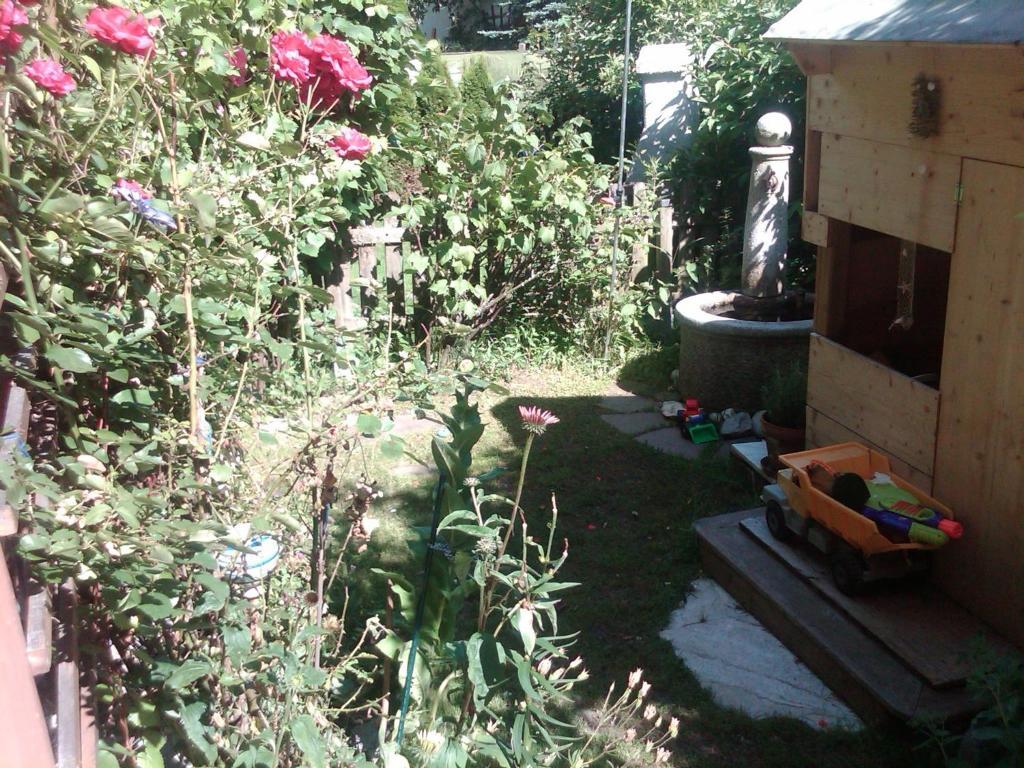 פלאכאו Ferienhaus Waldsicht מראה חיצוני תמונה