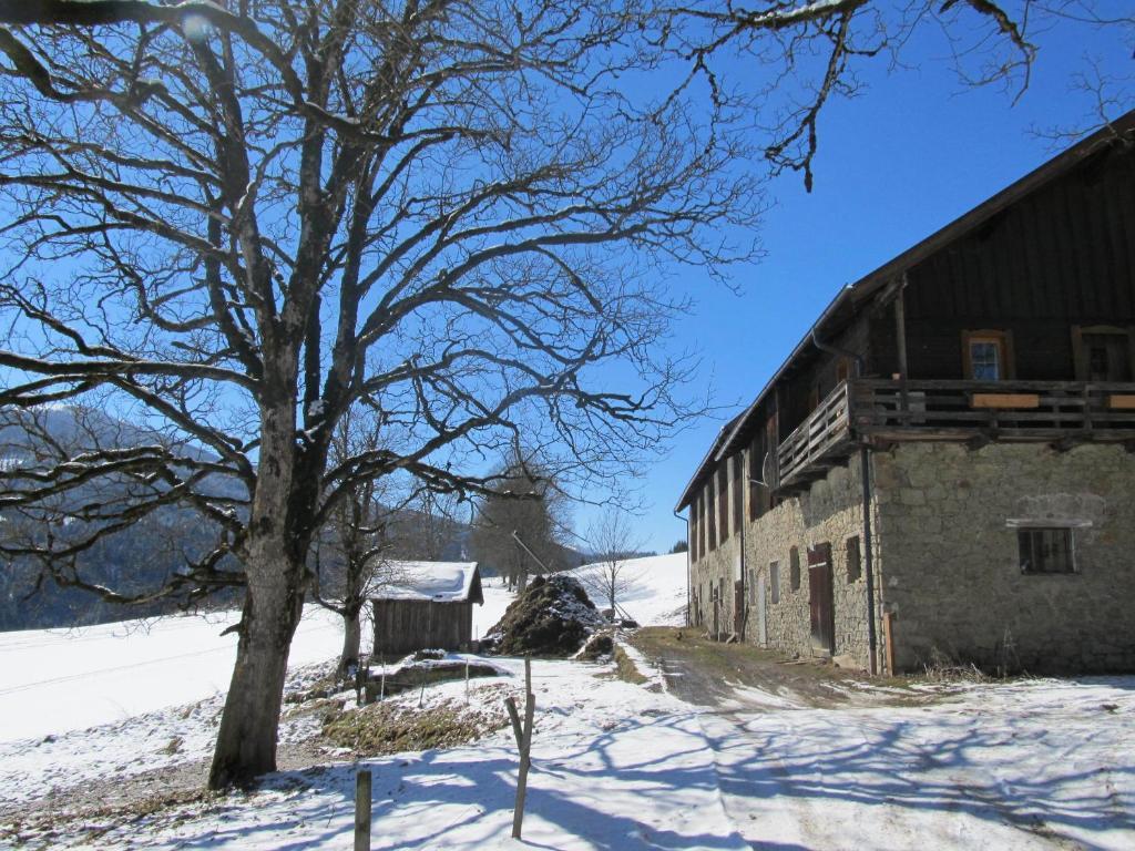 פלאכאו Ferienhaus Waldsicht מראה חיצוני תמונה